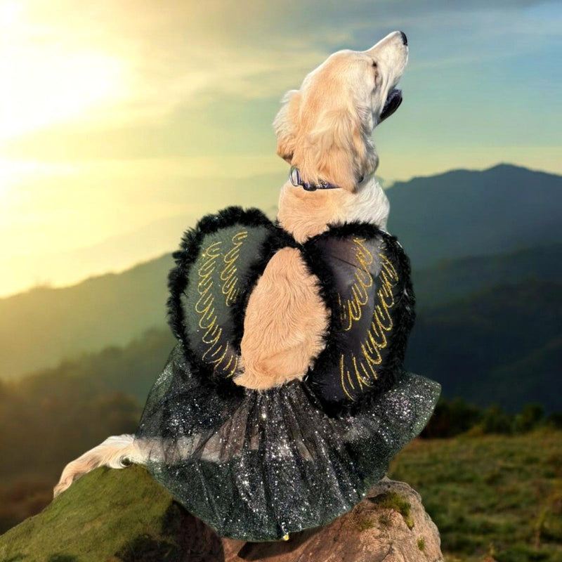 Disfraz Mascota Angel Negro OF-1487PET