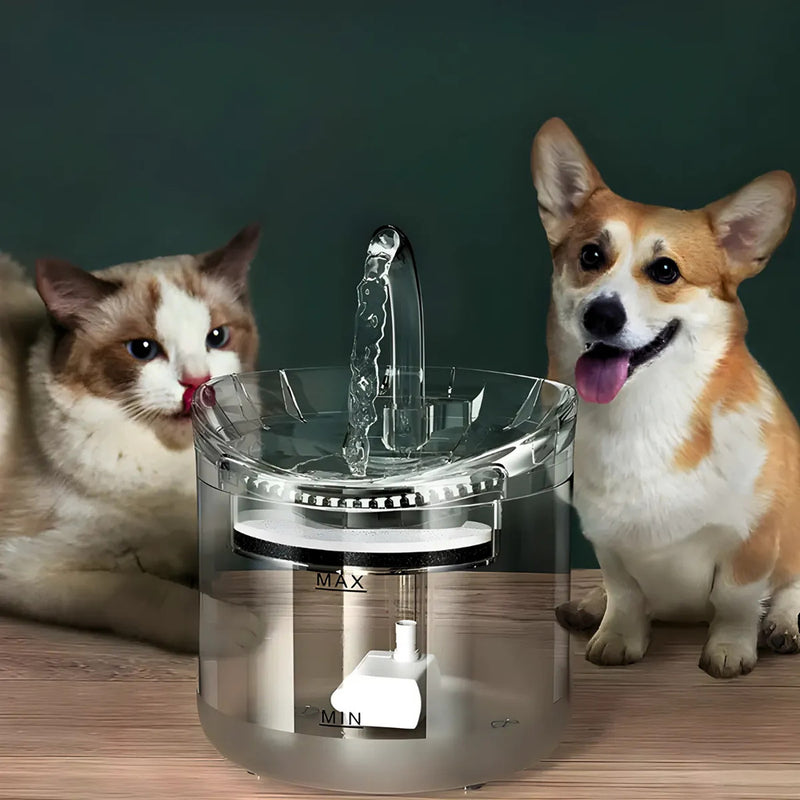 Fuente de agua para gatos y perros