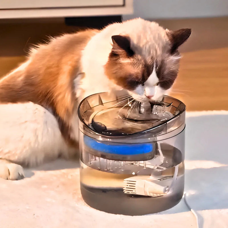 Fuente de agua para gatos y perros